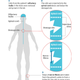 Illustration for article titled Paralyzed Man Walks Again After Brain Cells Are Injected into His Spine